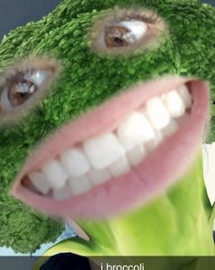 Meet your Posher, Terry